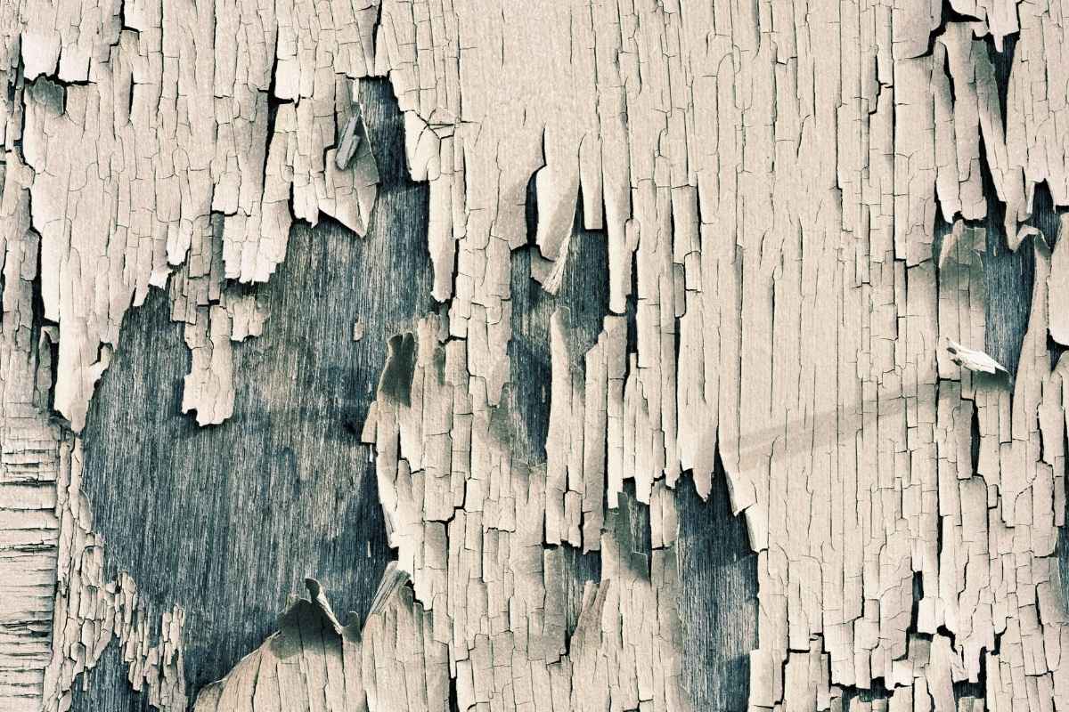 shed-your-old-skin-spiritual-transformation-mark-2-commentary